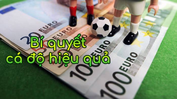 Bí quyết cá cược kèo Cửa trên/Cửa dưới (OU) Trong mỗi 15 Phút hiệu quả nhất